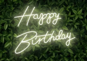 birthday party ideas bristol​