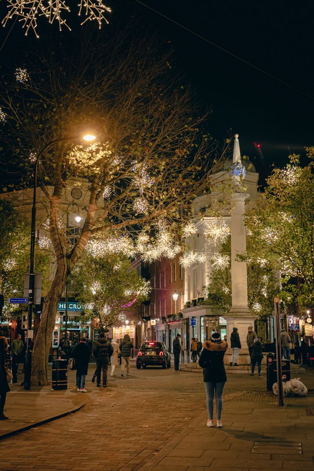 christmas lights wrapped tree garden UK