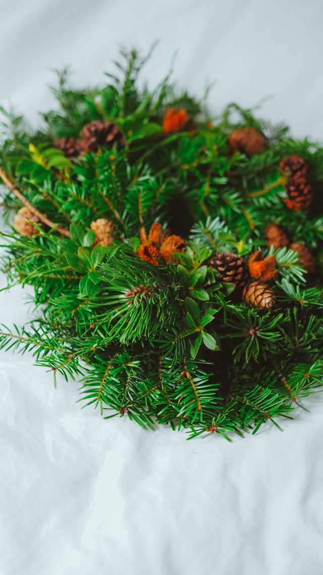 Densely packed evergreen base of a Christmas wreath before decoration