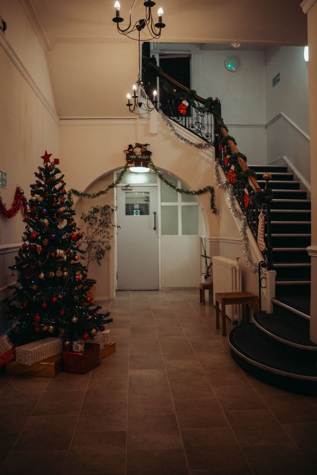 professionally styled christmas tree in bristol home entrance